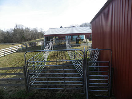 Cattle Working Facilities Circle S Farms Design Facility